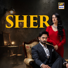 Tere Nal Pyar Ve | Lo-Fi | Slow & Reverb 🎶 | Falak Shabbir | ARY Digital