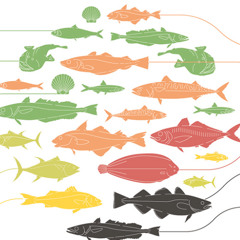 RFL101 Chronique UFC Que Choisir POISSONS