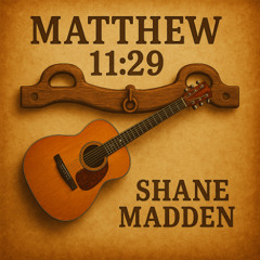 Matthew 11-29