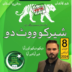 Nawaz Sharif aya wo dekh | PML N Song Election 2024