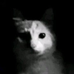 visim - crying dance [saber edit] [clip]