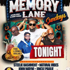 MEMORY LANE SUNDAYS MARCH 9th 2025 NATURAL VIBES SOUND JUGGLIN