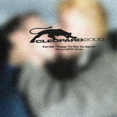 EXAMPLE - CHANGE THE WAY YOU KISS ME (CLEOPARD2000 REMIX) FREE DL