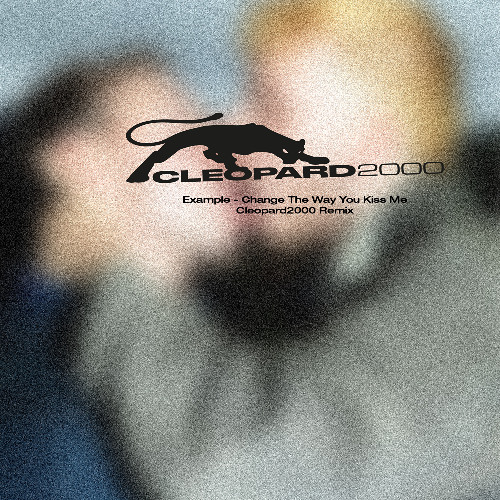 EXAMPLE - CHANGE THE WAY YOU KISS ME (CLEOPARD2000 REMIX) FREE DL