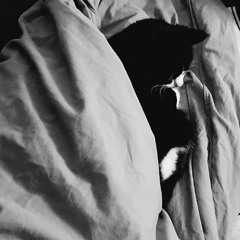 monday morning in beds