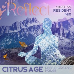 Resident Series #4: Citrus Age