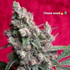 Chune Weed