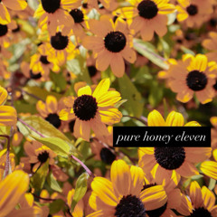 Pure Honey 11
