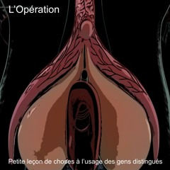 Petite leçon de choses