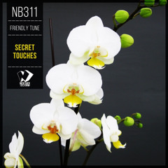 Friendly Tune - Secret Touches (Original Mix)