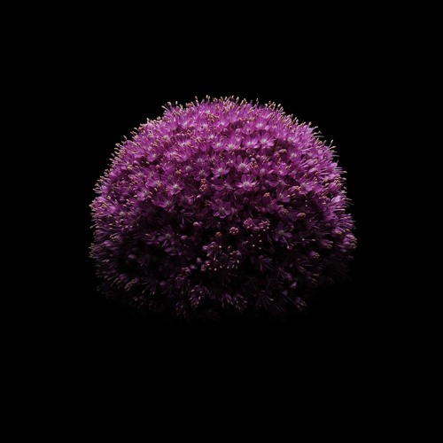 Tech House Deep Progressive