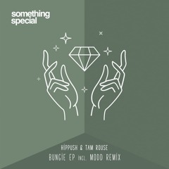 PREMIERE: Hippush, Tam Rouse - Bungie (Original Mix)[Something Special]