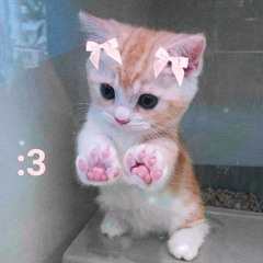 Shyntwirl - Meow! (PROD. Shyntwirl)