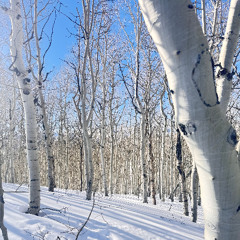 Sessions Mix Series - 026 (Anjunadeep Downtempo)