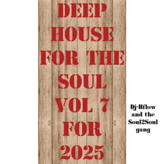 Deep House for the Soul Vol 7 2025