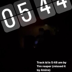 20231208 Steppas at Pistil 5am