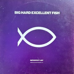 Imperfect List (Rimming Elvis The Andrew Weatherall Way)