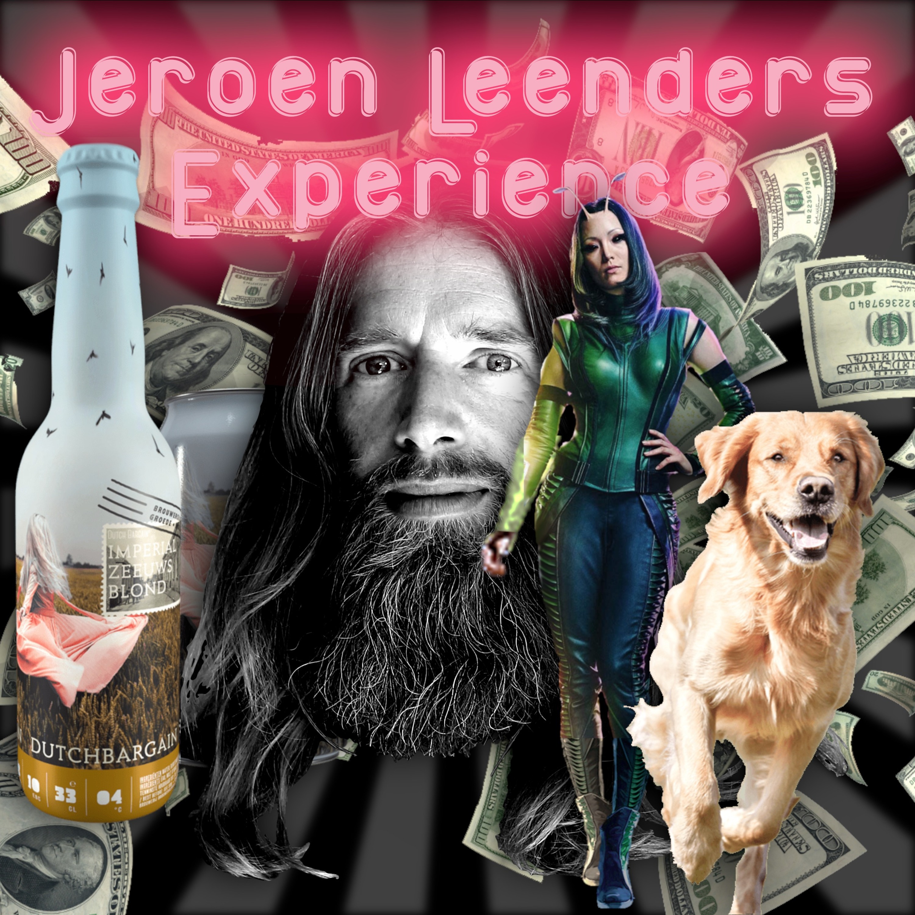 Jeroen Leenders Experience