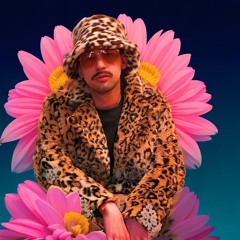 tutti i petali del fiore (prod. yogic beats)