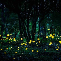 MYSTIC REGGVETON - INSTRUMENTVLE - BVNKS