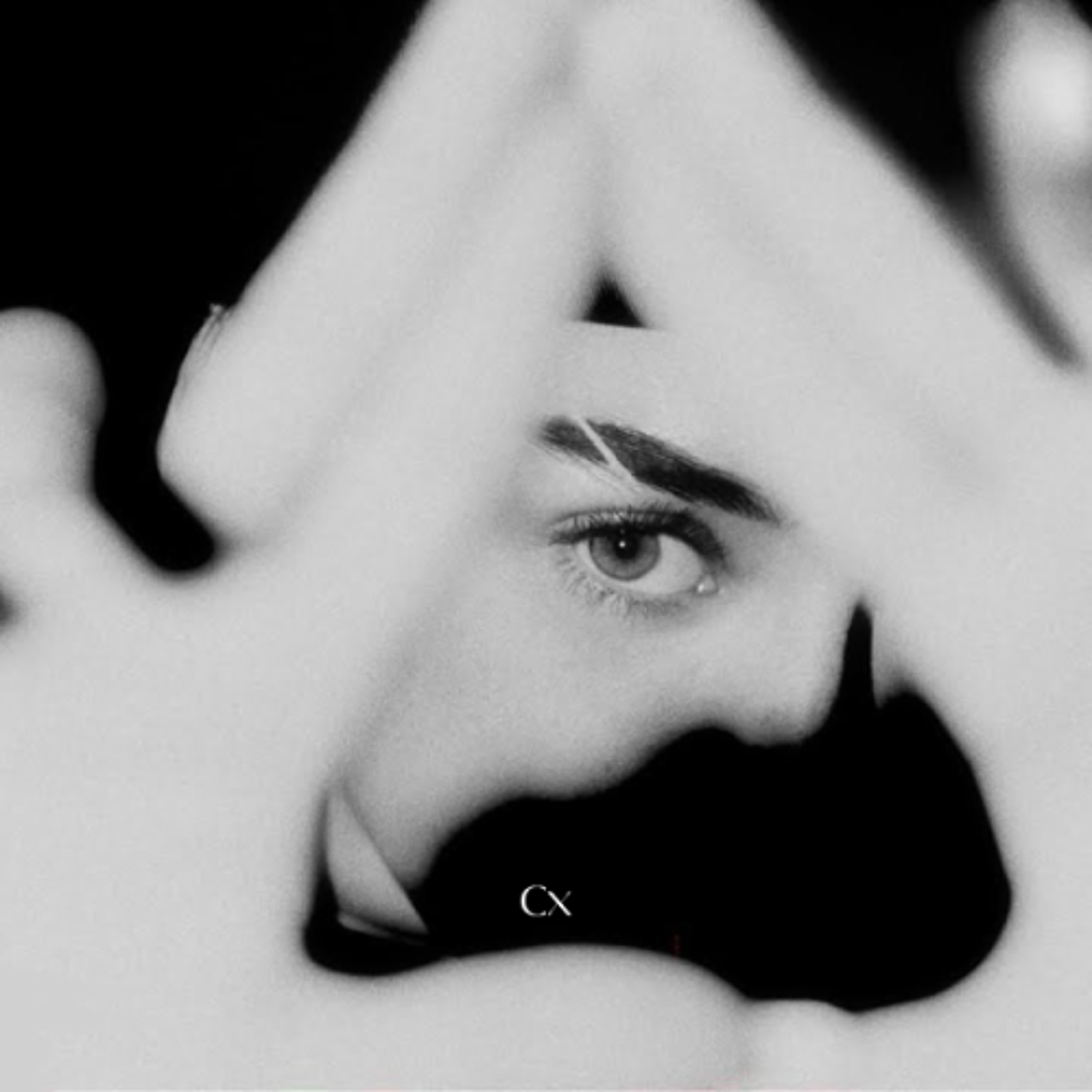 Track cover