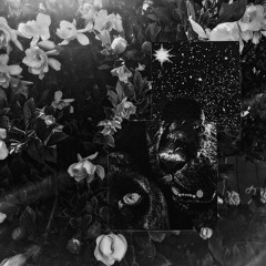 slammin'. (remastered)