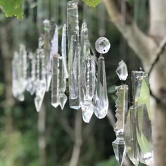 12. Sheddin da Memories