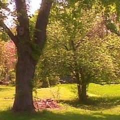 what love's about demo