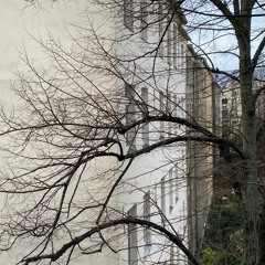 Eco 6 - O.C.B. [Colors Of West Berlin]