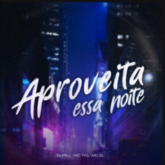 Mc TKL e Mc 2L - Aproveita Essa Noite (Dj Peu)