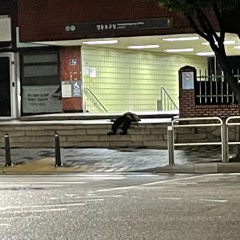 난 이렇게 지내