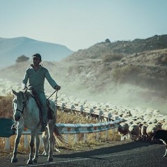 SchallMänner - The Great Shepherd