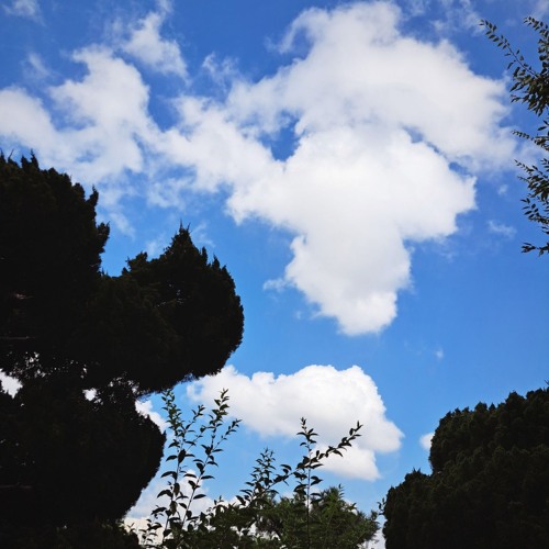 익숙한 플로우 (Feat. 임호성) (Prod. wooyah)