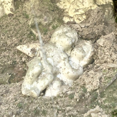 Cry wif me - (SALEM cover)