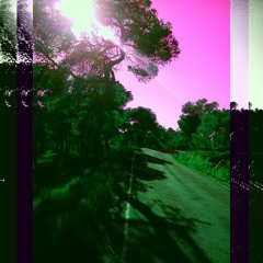 This Was Supposed To Be A Song - Beniönica