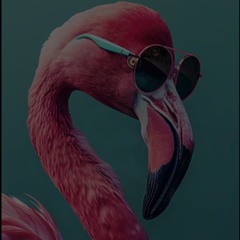 do you like it deep