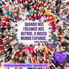 537 Inteligência social