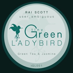 Fairies Dancing In The Forest | Green Tea & Jasmine | tGL001