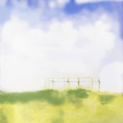 sun-slaughtered blossoms