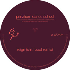 Reign (Shit Robot Remix)
