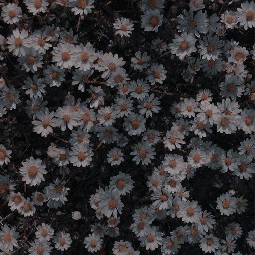 Скрябін - раз в житті дають людині крила