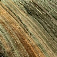 swamp puppies (rough lofi demo)