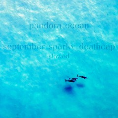 Pandora X September ; ocean atmosphere (slowed)