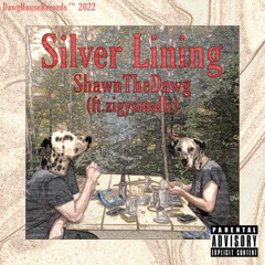 Silver Lining (ft.zigysmallz)