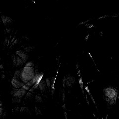 interrupted existence - part o