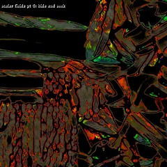 scalar fields pt 8: hide and seek - with stonerjazz