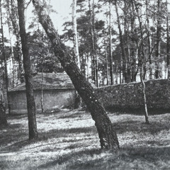 Waldfriedhof Neudeck (Evangelical forest cemetery, Świerklaniec), 24.05.2025, 4 p.m.