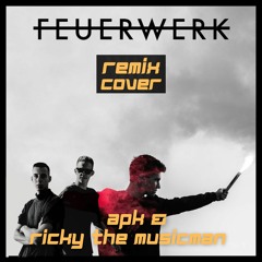 Feuerwerk - Wincent Weiss [APK & Ricky The Musicman Remix Cover]