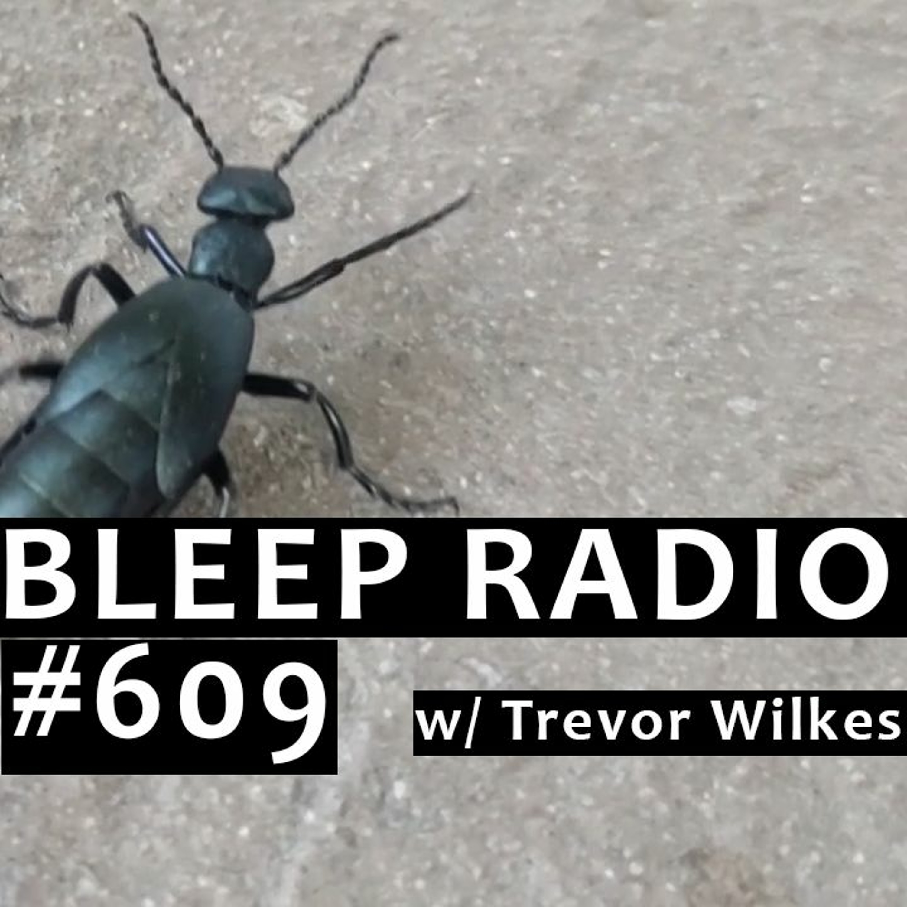 Bleep Radio w/ Trevor Wilkes