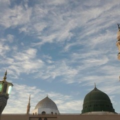 الحبيب ﷺ 💚